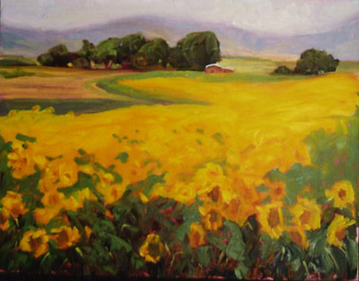 Sunflower Field