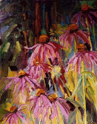 Cone Flowers