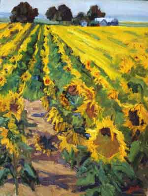 Sunflower Field 2004 - 1