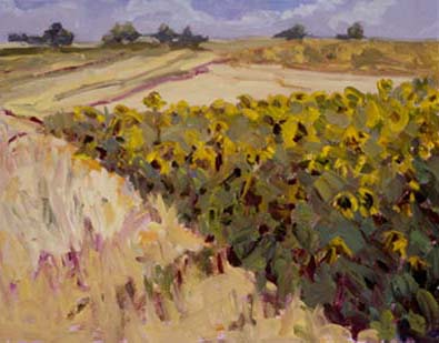 Sunflower Field 2003-1