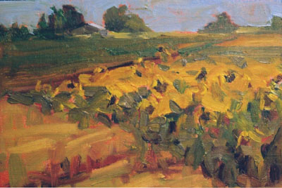 Sunflower Field