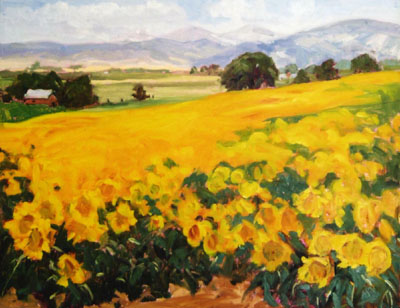 Sunflower Field 2001-2