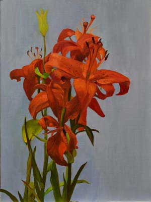 Day Lilies from David
