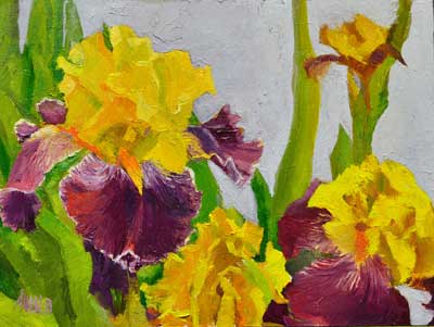 Yellow Iris