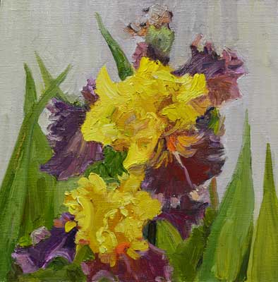 Yellow Iris