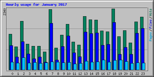 Hourly usage for January 2017