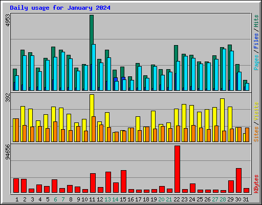 Daily usage for January 2024