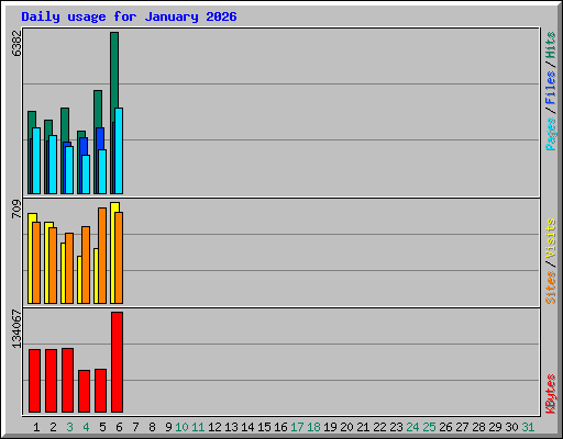 Daily usage for January 2026