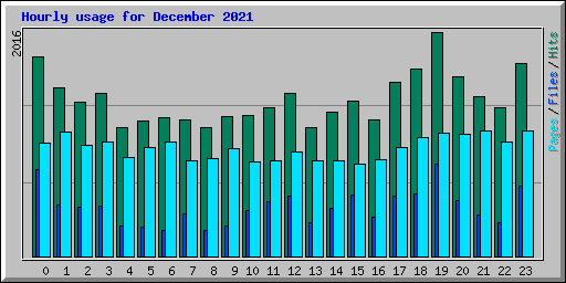 Hourly usage for December 2021