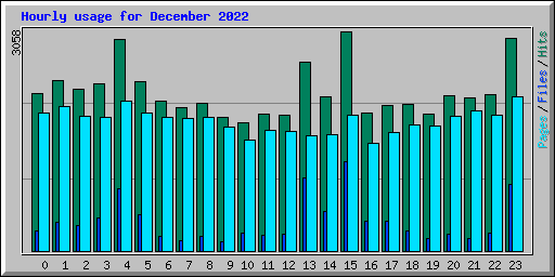 Hourly usage for December 2022