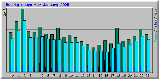 Hourly usage for January 2023