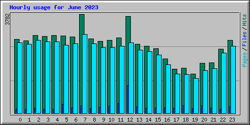 Hourly usage for June 2023