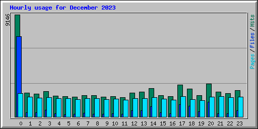 Hourly usage for December 2023