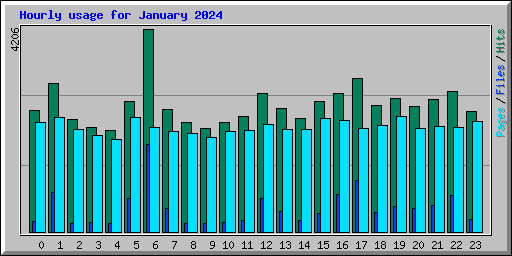 Hourly usage for January 2024