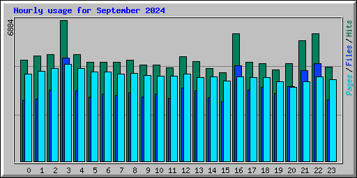 Hourly usage for September 2024