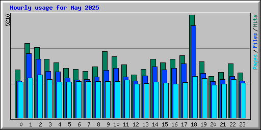 Hourly usage for May 2025