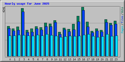 Hourly usage for June 2025