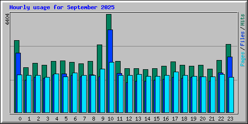 Hourly usage for September 2025