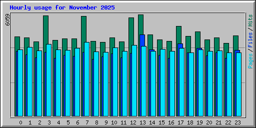 Hourly usage for November 2025