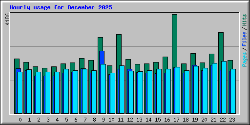 Hourly usage for December 2025