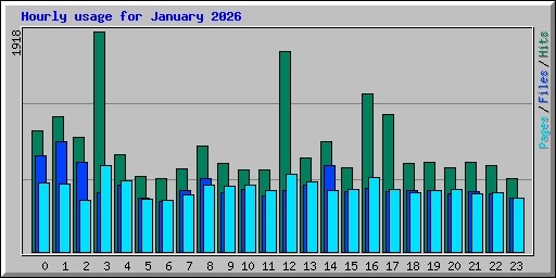 Hourly usage for January 2026